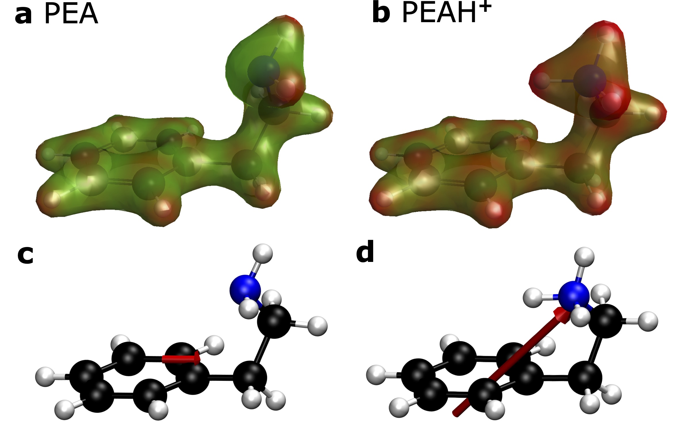 computational chemistry