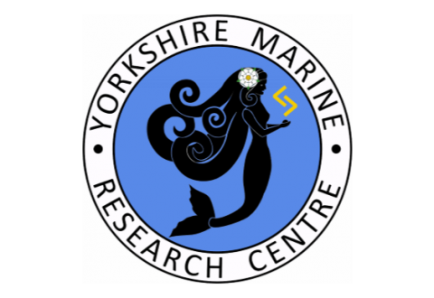 logo_YMRC